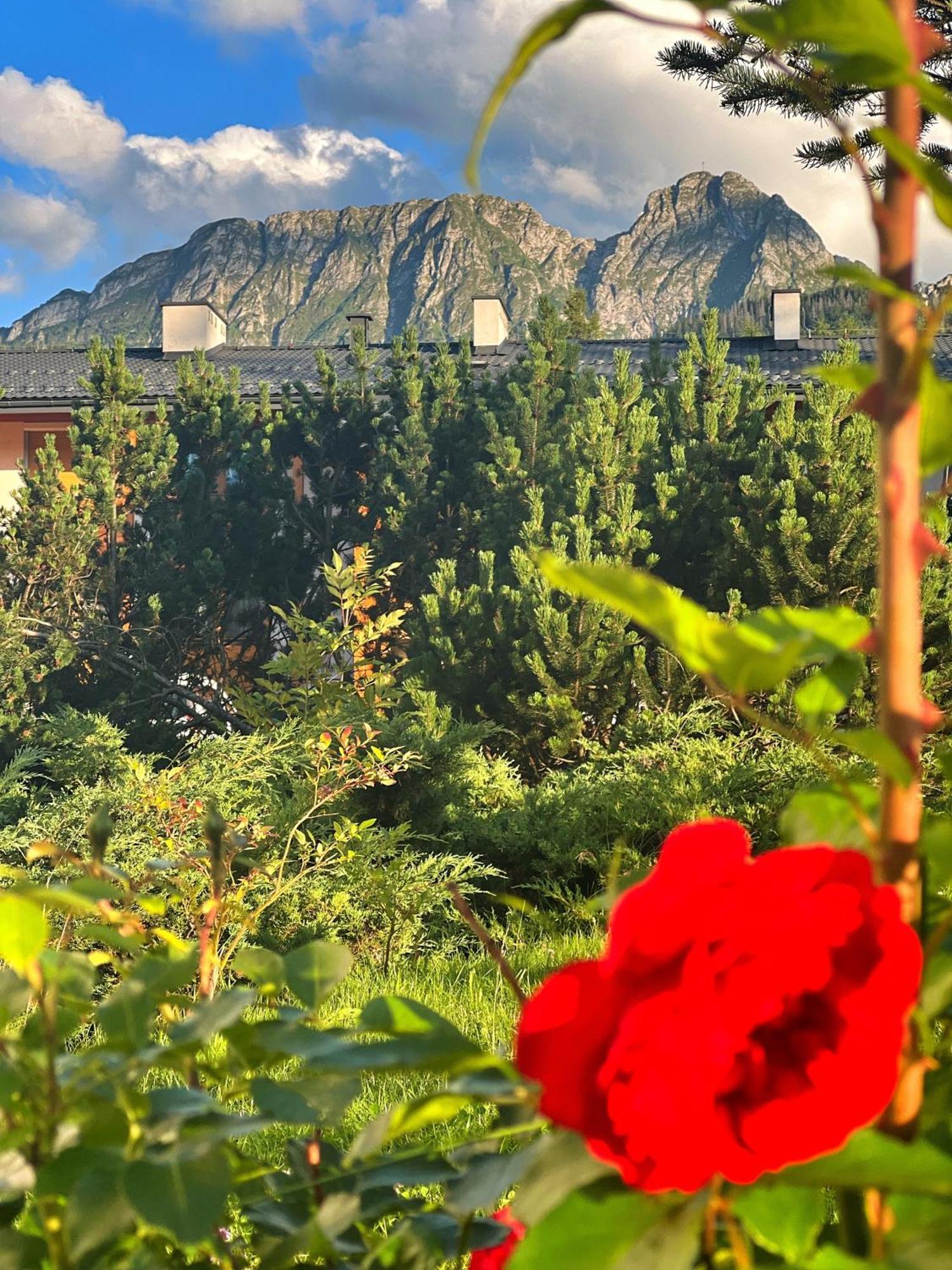 Apartament Lesny Z Kominkiem - Viva Pod Giewontem Apartamenty Zakopane Luaran gambar